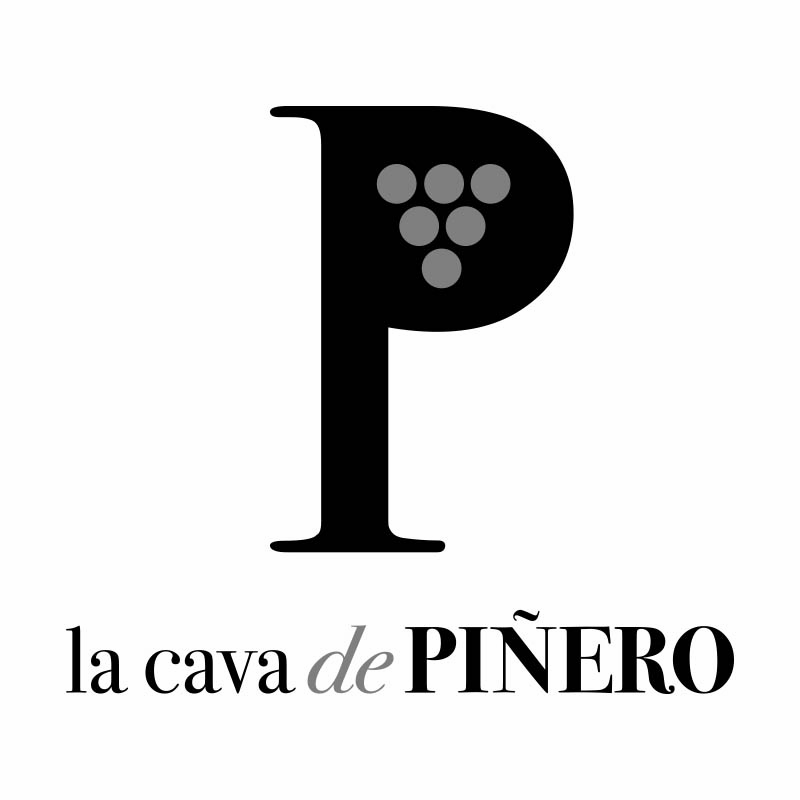 Logo_Pin¦âero