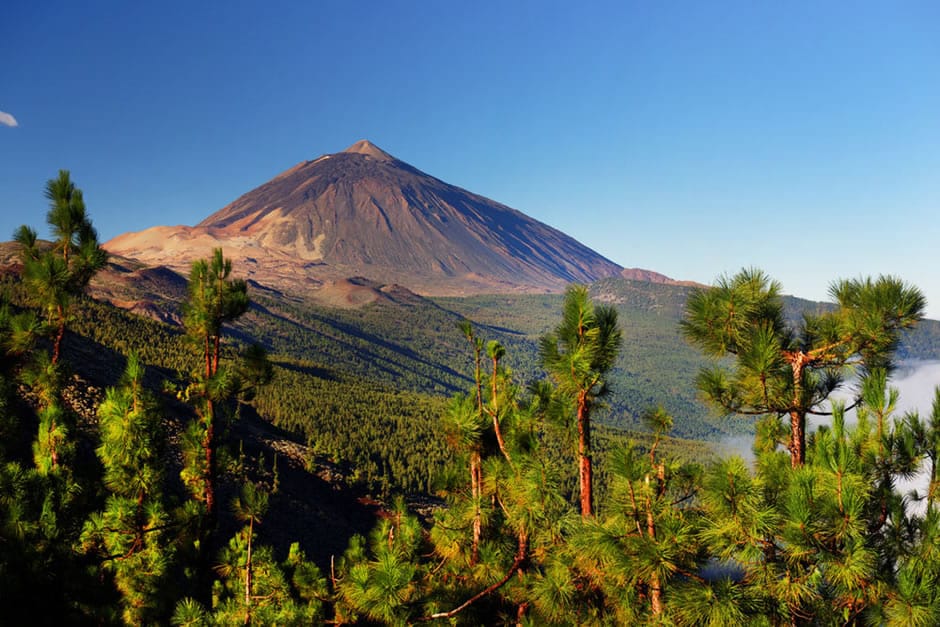 Parque Nacional Teide Tenerife